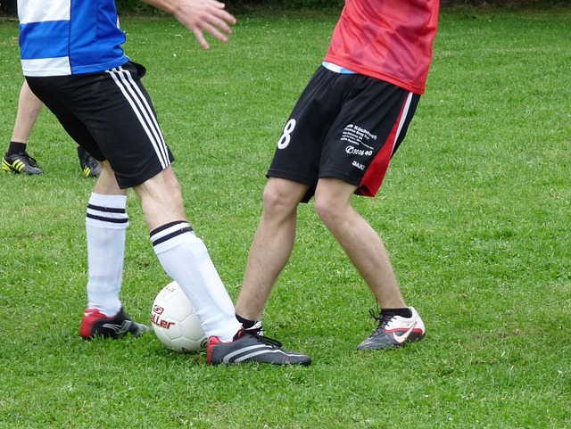中山或许将 中山或许将